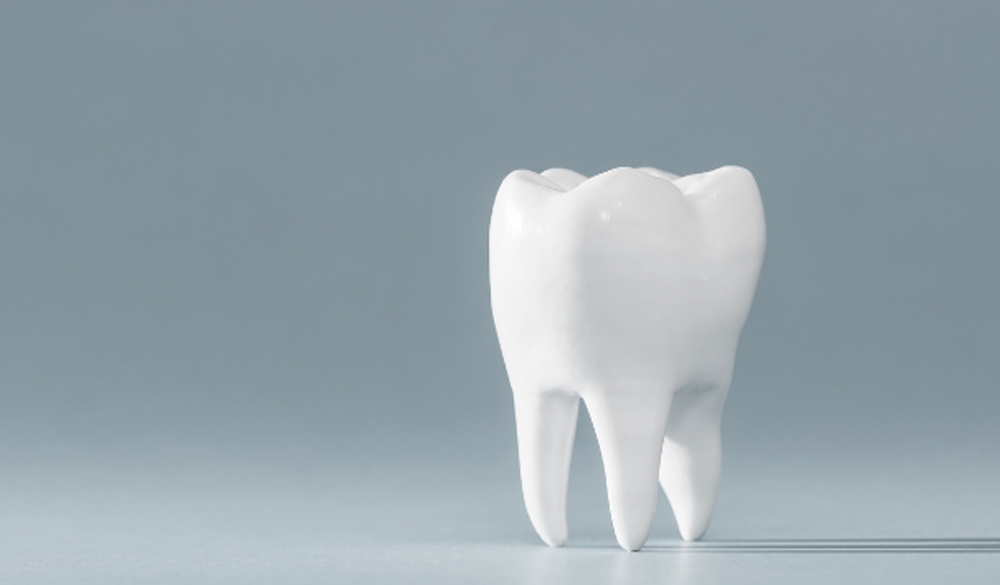 Canadian Dental Care Plan